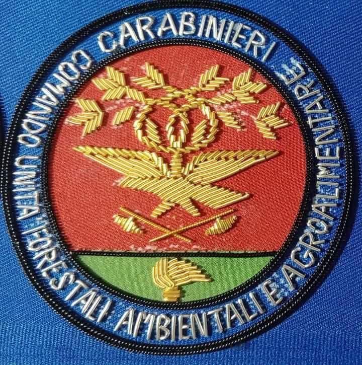 Unit patch in gold and silver wire with ring lettering